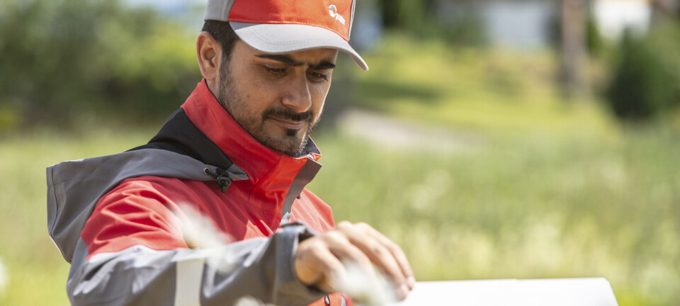 Postsendinger til USA blir suspendert