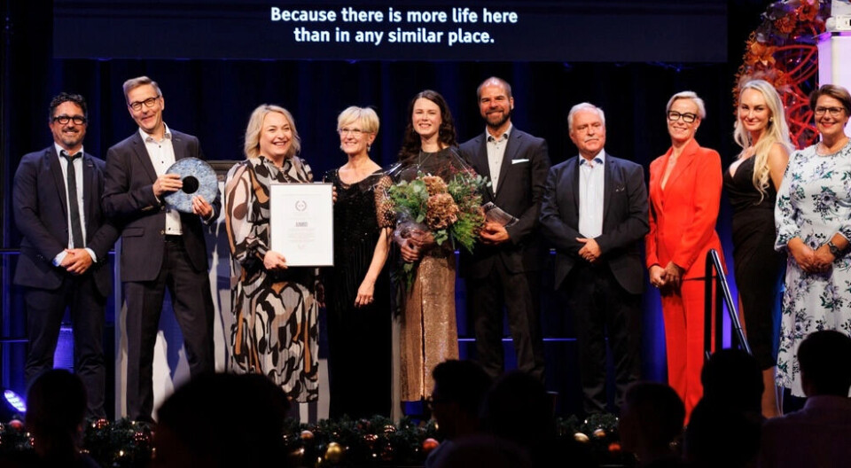 Benjamin Nguyen Qui (Blachere Illumination), Olli Lehtoaro, Marjaana Peikola, Niina Taskin, Tiina Heikkilä og Jukka Vakula (Shopping Centre Jumbo). Jurymedlemmene Charles Larsson, Helle García Korndal, Anna Bevz og Tone Tellevik Dahl. NCSC Awards 2025