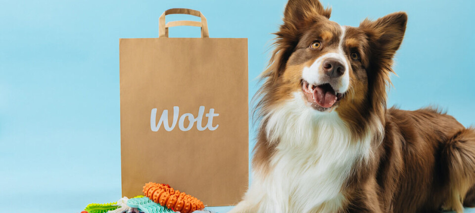 Wolt utvider tilbudet – inngår samarabeid med Dogman