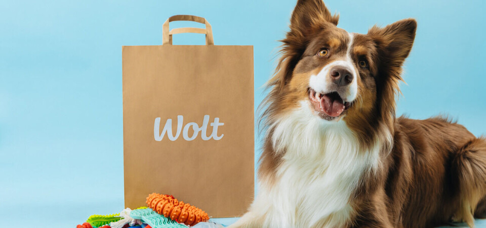 Wolt utvider tilbudet – inngår samarabeid med Dogman