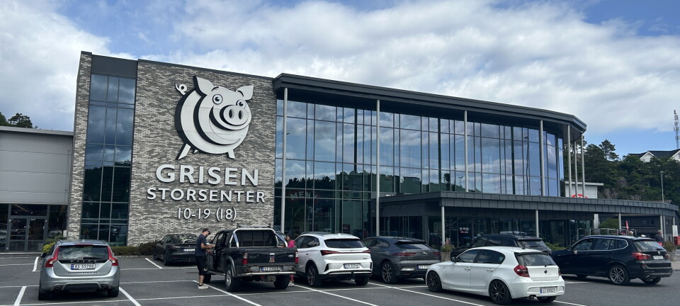 Hva skal Grisen hete?
