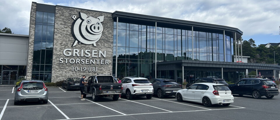 Hva skal Grisen hete?