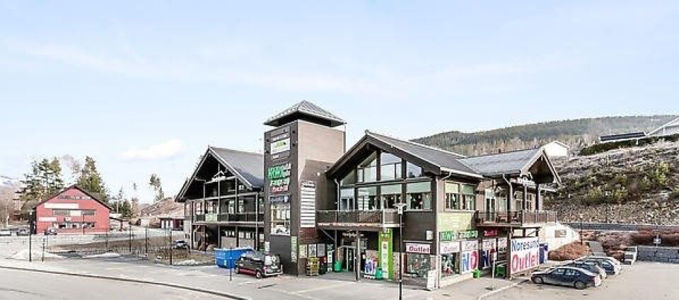 Krødsherad kommune vil samle noen av sine helsetjenester, fysioterapeutene, samt NAV-kontoret i 2. etasje i Norefjellporten. (Foto: Eiendomsmegler 1 Ringerike) Krødsherad kommune vil samle noen av sine helsetjenester, fysioterapeutene, samt NAV-kontoret i 2. etasje i Norefjellporten. (Foto: Eiendomsmegler 1 Ringerike)