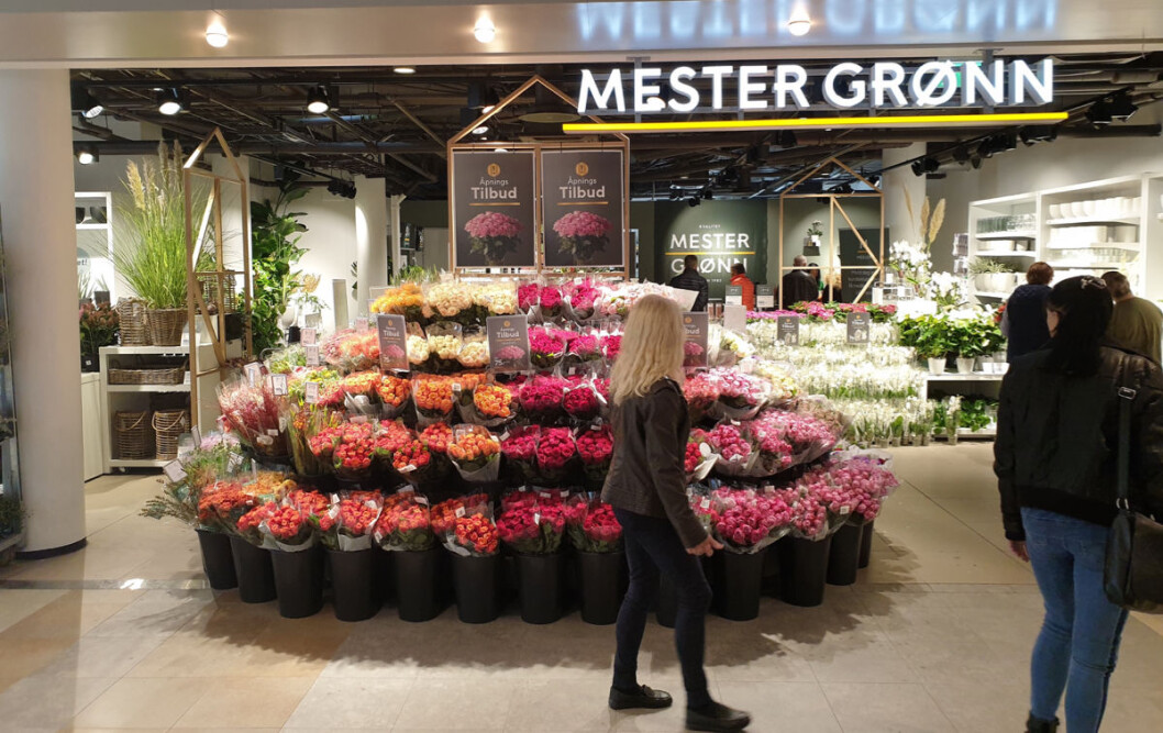 Åpningen av Mester Grønn i Alti Futura i Kristiansund i går, ble en hyggelig tilvekst til kjeden. (Foto: Mester Grønn) Åpningen av Mester Grønn i Alti Futura i Kristiansund i går, ble en hyggelig tilvekst til kjeden. (Foto: Mester Grønn)