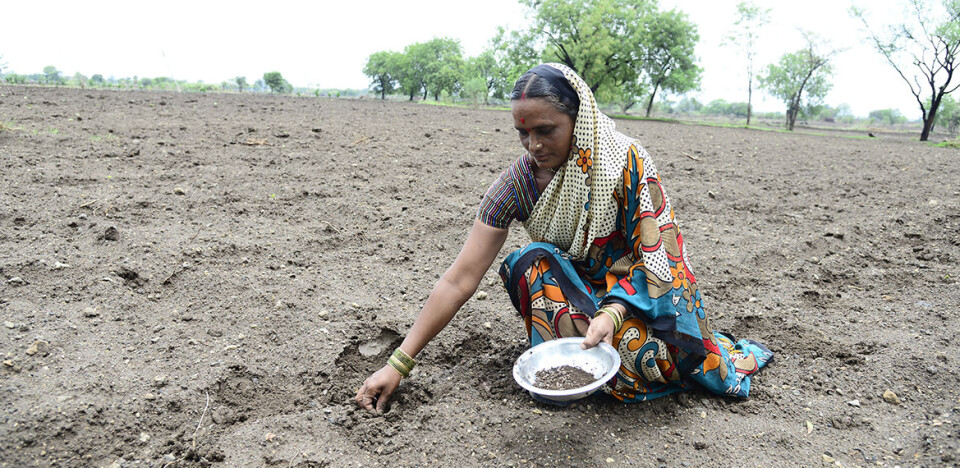 CottonConnects prosjekt Women in Cotton har som mål å utdanne kvinnelige bomullsbønder innen økologisk landbruk.