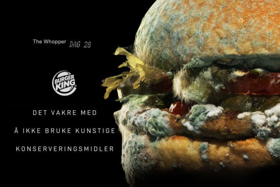 Også mugg kan være vakkert