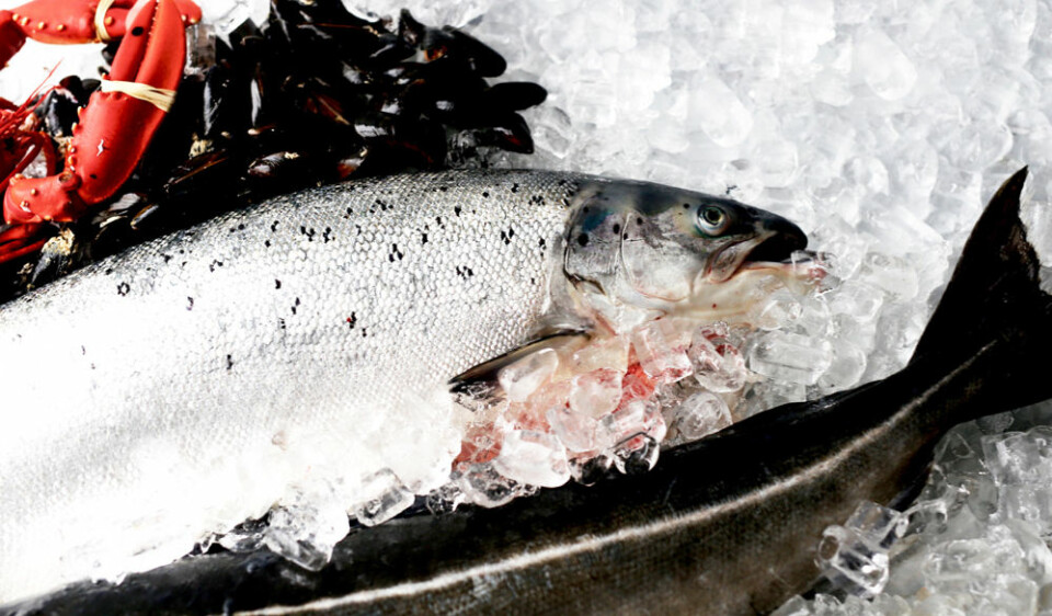 FERSK FISK PÅ DAGEN: Kolonial.no garanterer at du hos dem får fisken hjem til deg samme dagen som den er skåret og pakket. (Foto: KOLONIAL.NO)