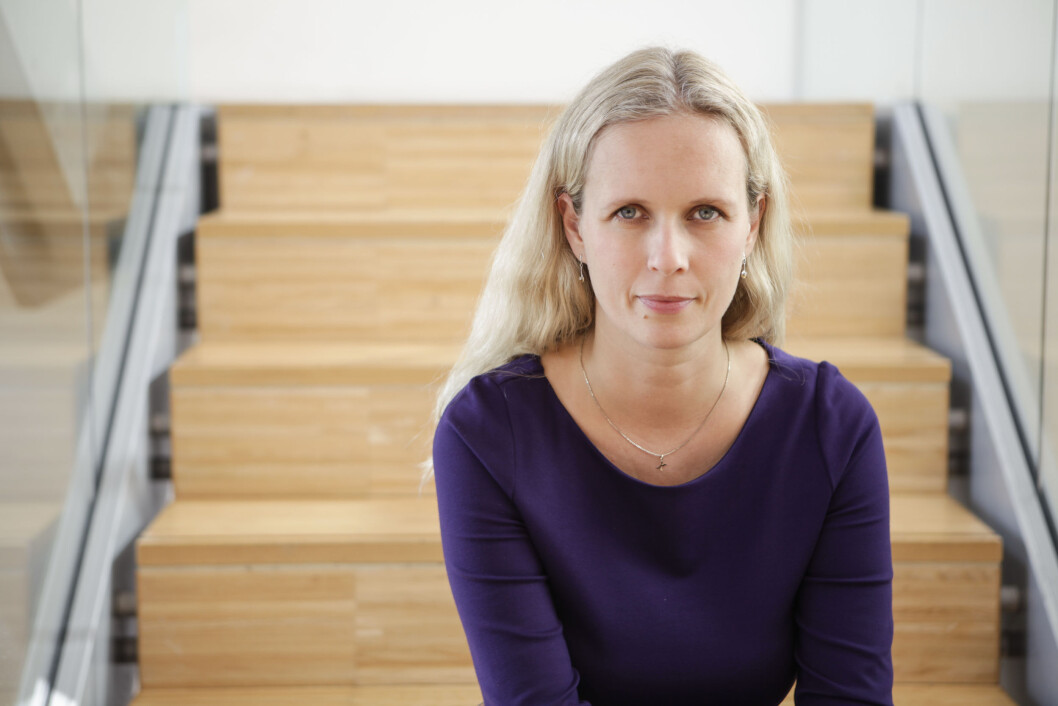 ØKTE PRISER: Ingvill Størksen, direktør for Virke dagligvare, forventet prisøkning på mat. ØKTE PRISER: Ingvill Størksen, direktør for Virke dagligvare, forventet prisøkning på mat.