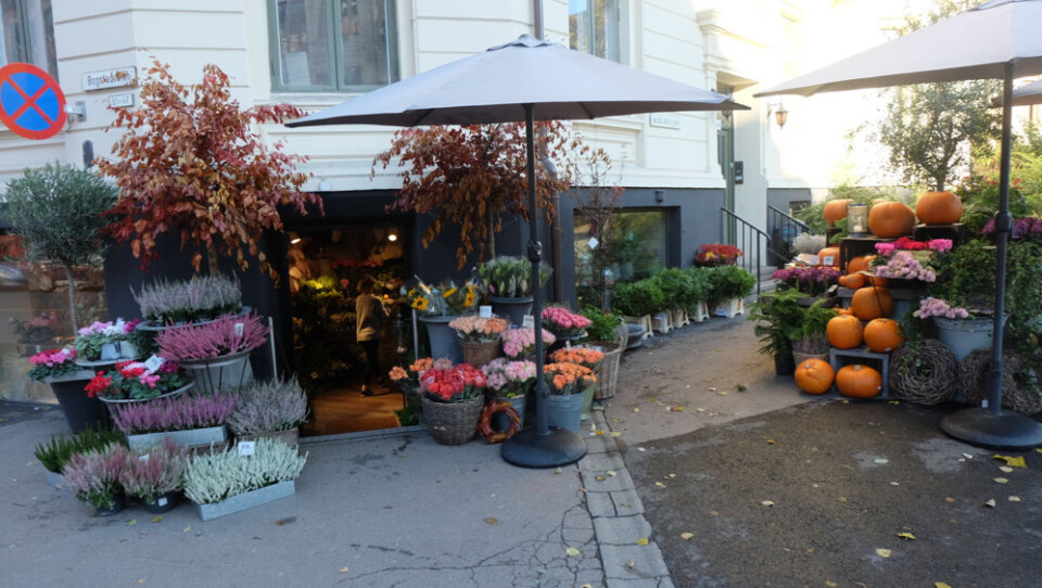 En av de mest kjente butikkene i kjeden Finn Schjøll Blomster lå i Bogstadveien på Majorstuen. (Foto: Odd Henrik Vanebo) En av de mest kjente butikkene i kjeden Finn Schjøll Blomster lå i Bogstadveien på Majorstuen. (Foto: Odd Henrik Vanebo)