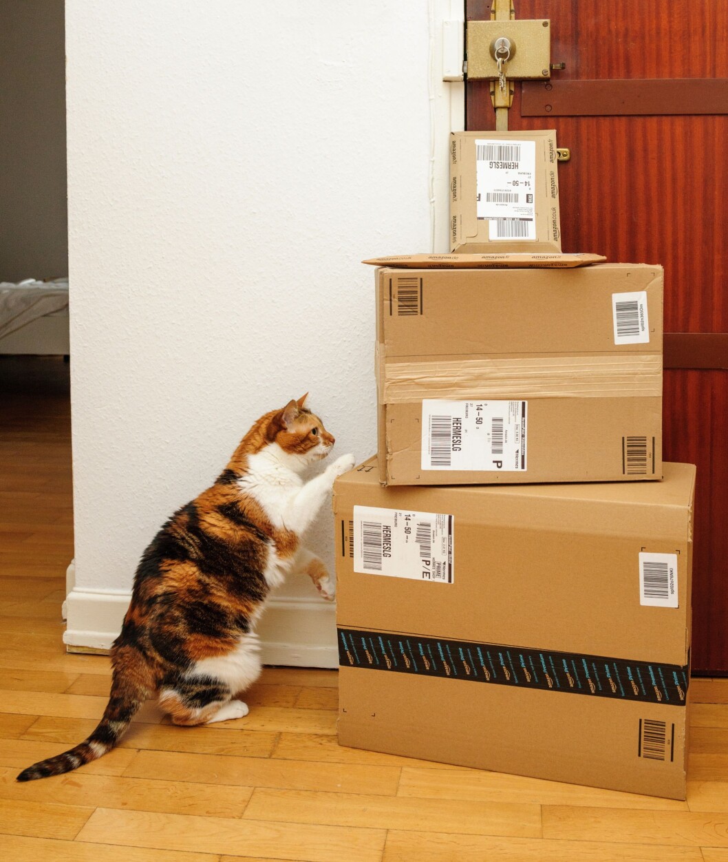 Amazon har lagt stor vekt på å vinne «The Last Mile», nemlig at varen kommer helt inn i kundens hjem. Ill.foto: Colurbox Amazon har lagt stor vekt på å vinne «The Last Mile», nemlig at varen kommer helt inn i kundens hjem. Ill.foto: Colurbox