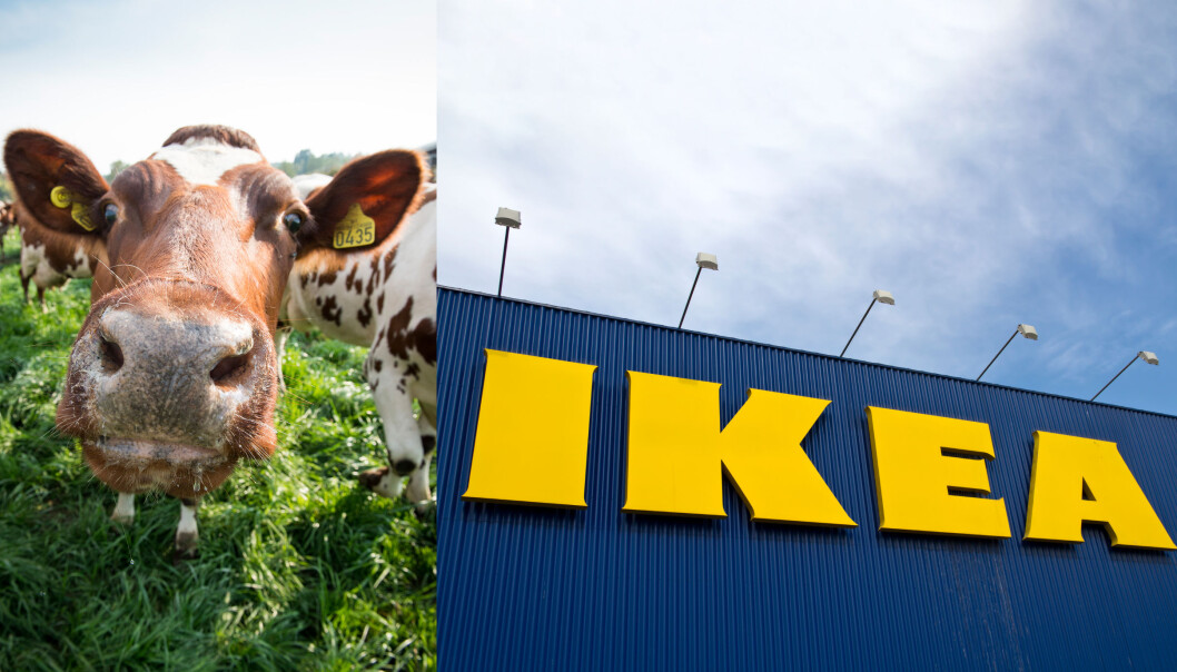 TINE og IKEA gikk til topps i omdømmekåring. TINE og IKEA gikk til topps i omdømmekåring.