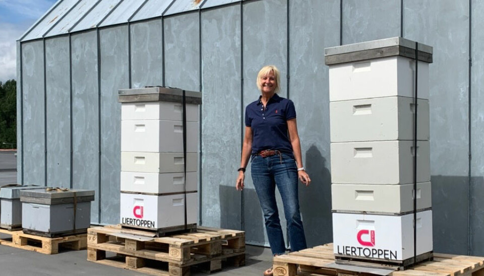 Senterleder Mette Kiilerich: – Biene trives på taket av Liertoppen.