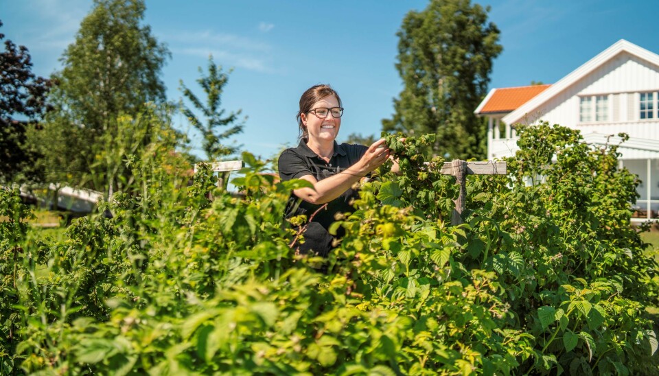 Finalist Astrid Lier Lømuld, daglig leder i Askim frukt- og bærpresseri.