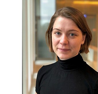 Signe Abrahamsen er økonom i Konkurransetilsynet. Signe Abrahamsen er økonom i Konkurransetilsynet.