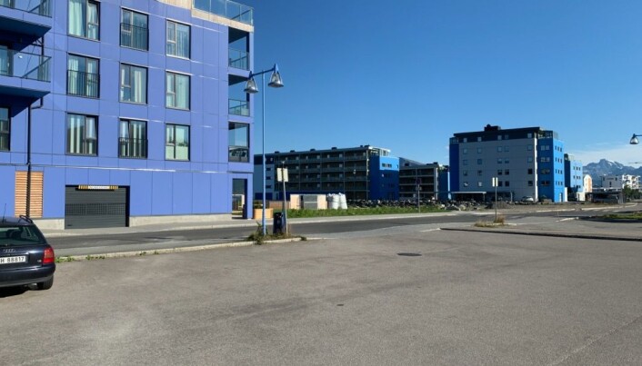 De blå boligblokkene på Frydenlund Strand er vakkert integrert i Blåbyen. De blå boligblokkene på Frydenlund Strand er vakkert integrert i Blåbyen.