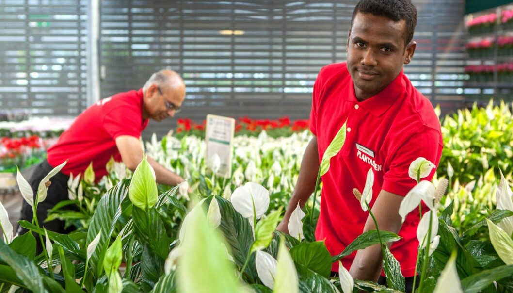 De butikkansatte i Plantasjen får feedback fra kundene direkte til seg selv. De butikkansatte i Plantasjen får feedback fra kundene direkte til seg selv.
