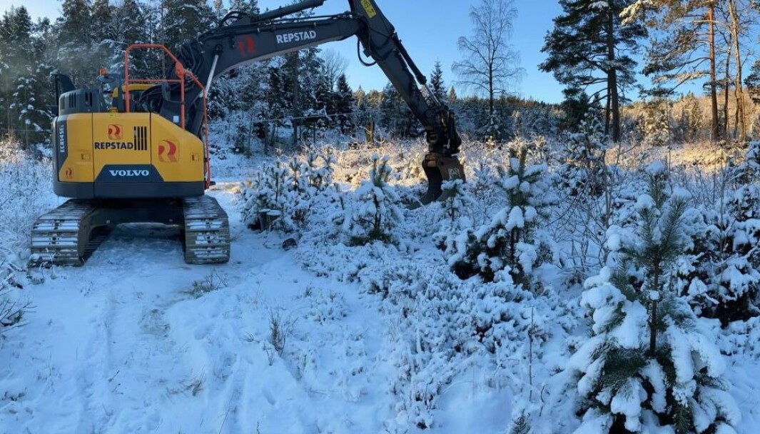Nordbømarka Nordbømarka