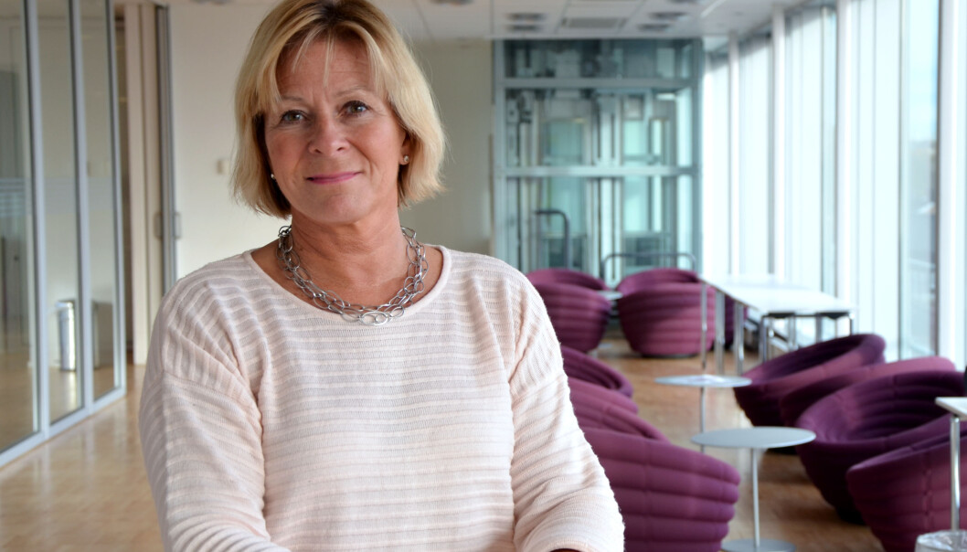 Aslaug Koksvik er direktør for Virke byggevarehandel. Aslaug Koksvik er direktør for Virke byggevarehandel.