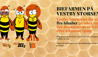 Vestby Storsenters honningproduksjon med personifiserte dronninger