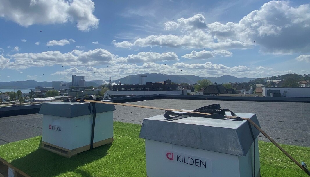 Citycon har areal på takene til sine sentre, og på flere av dem har de plassert bikuber. Citycon har areal på takene til sine sentre, og på flere av dem har de plassert bikuber.