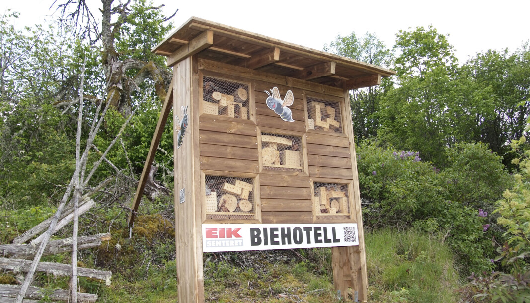 Eiksentrene tilbyr storskala biehotell. Eiksentrene tilbyr storskala biehotell.