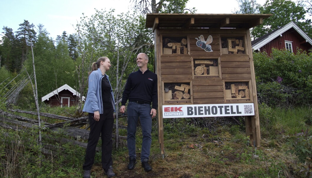 Astrid Brekke Skrindo fra org.NINA og Henrik Fagerland fra Eiksenteret viser fram det nye biehotellet. Astrid Brekke Skrindo fra org.NINA og Henrik Fagerland fra Eiksenteret viser fram det nye biehotellet.