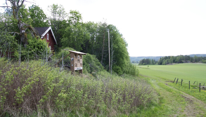 Biehotellet måler nesten 2 meter i bredden og rundt 3 meter i høyden. Biehotellet måler nesten 2 meter i bredden og rundt 3 meter i høyden.