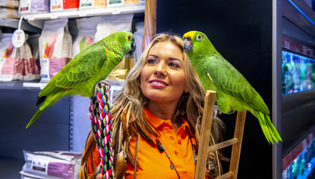 Høyt engasjement og kunnskapsnivå hos butikkeierne kjennetegner Pets. Høyt engasjement og kunnskapsnivå hos butikkeierne kjennetegner Pets.