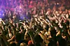 Crowd at a music concert, audience raising hands up